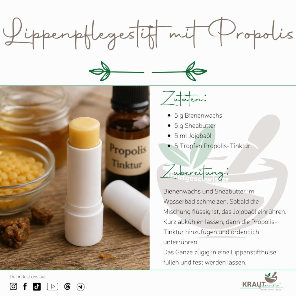 Lippenpflege mit Propolis