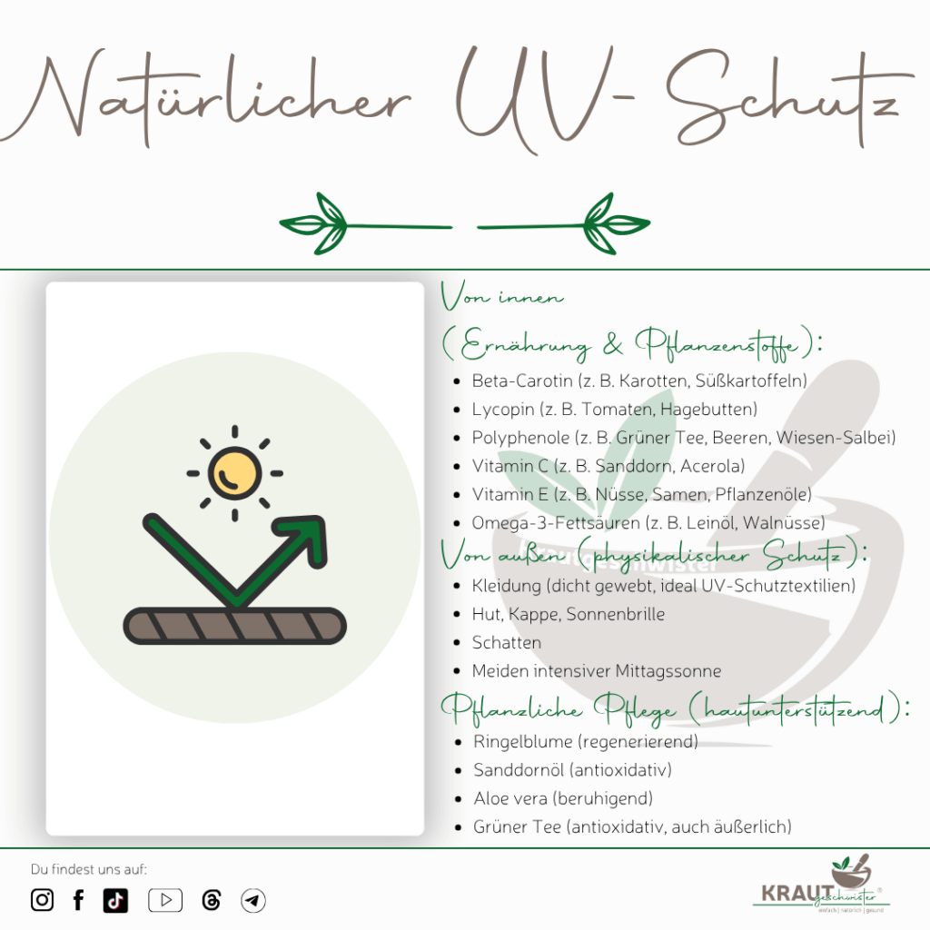 UV-Schutz mit Pflanzenkraft und Verstand
