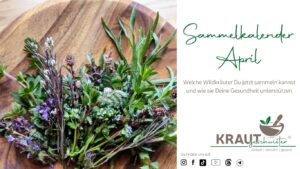 Sammelkalender April