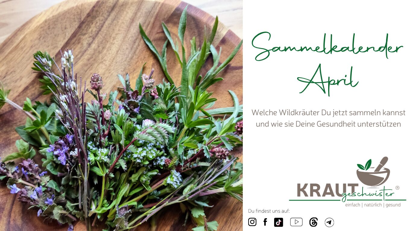 Mehr über den Artikel erfahren Sammelkalender April