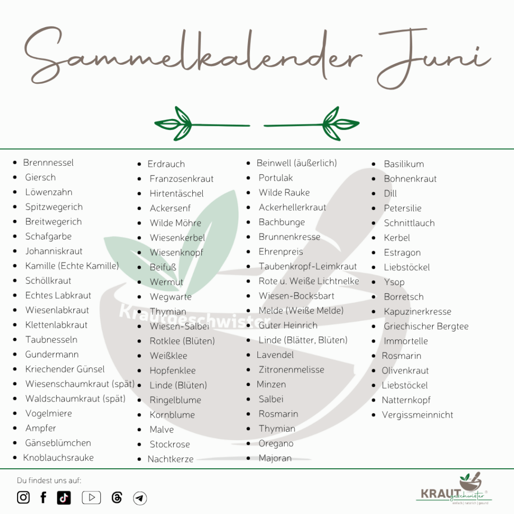 Sammelkalender Juni