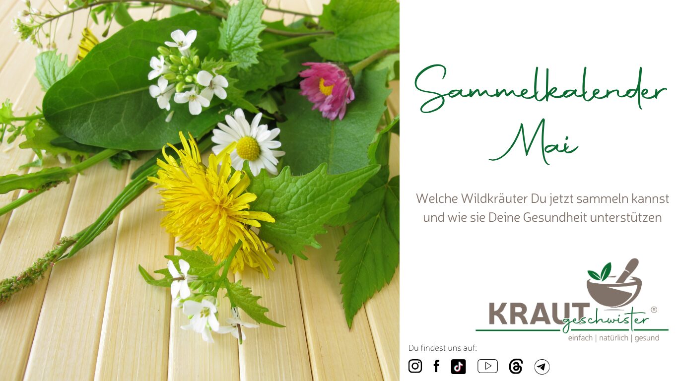 Mehr über den Artikel erfahren Sammelkalender Mai