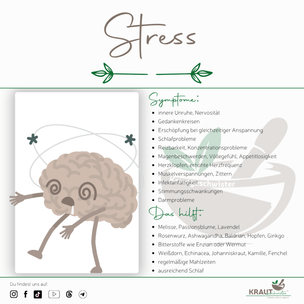 Was bei Stress im K&ouml;rper passiert und welche Kr&auml;uter helfen
