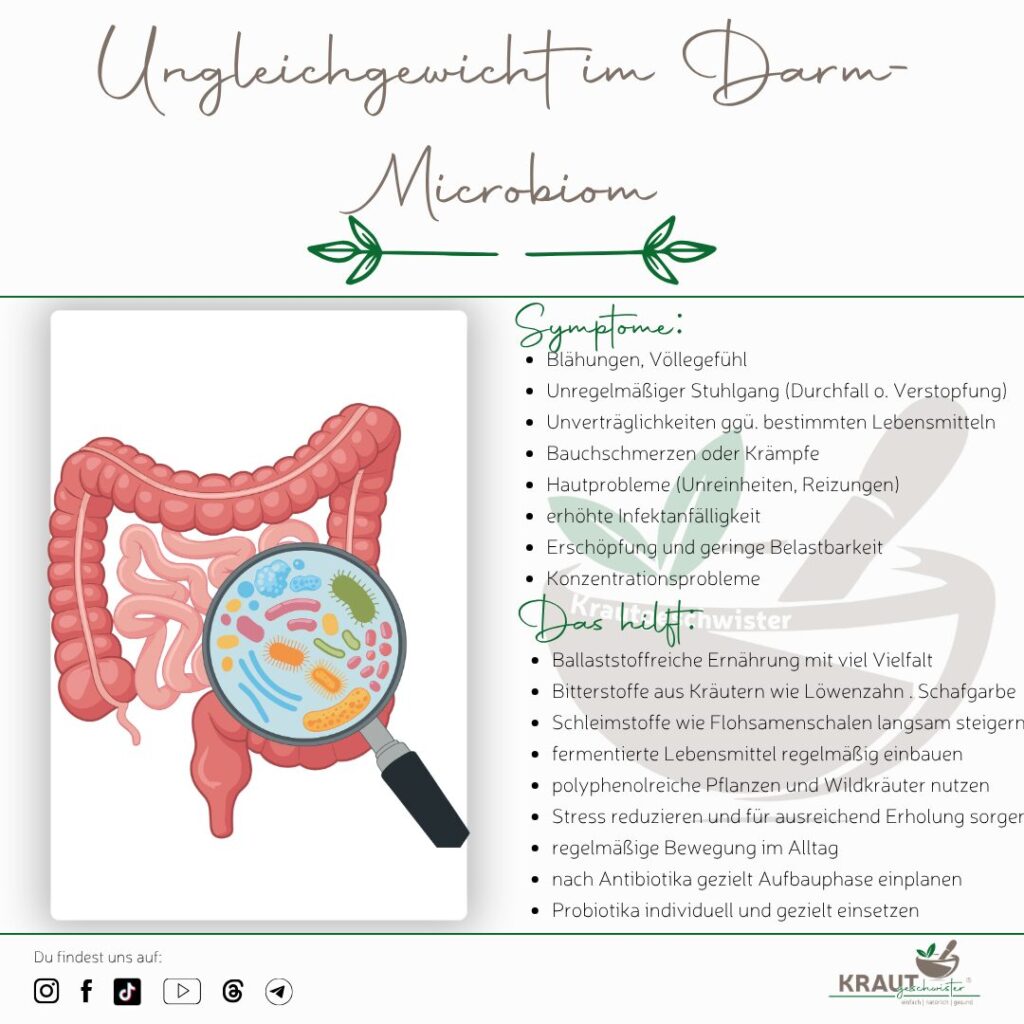 Ungleichgewicht im Darm-Microbiom