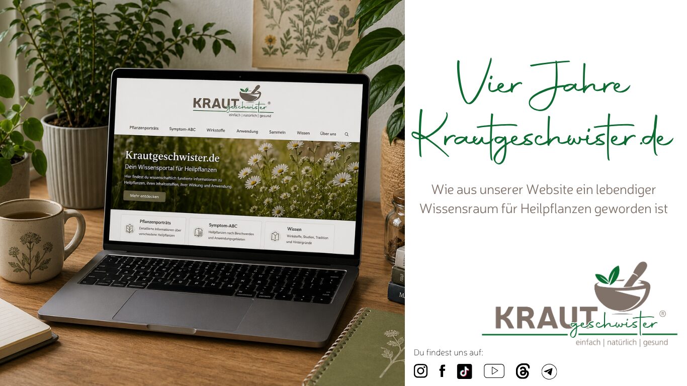 Vier Jahre Krautgeschwister.de