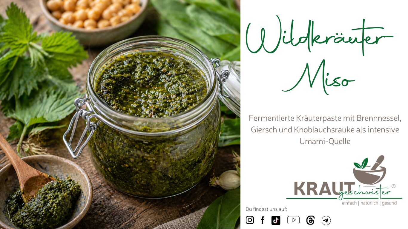 Wildkr&auml;uter-Miso