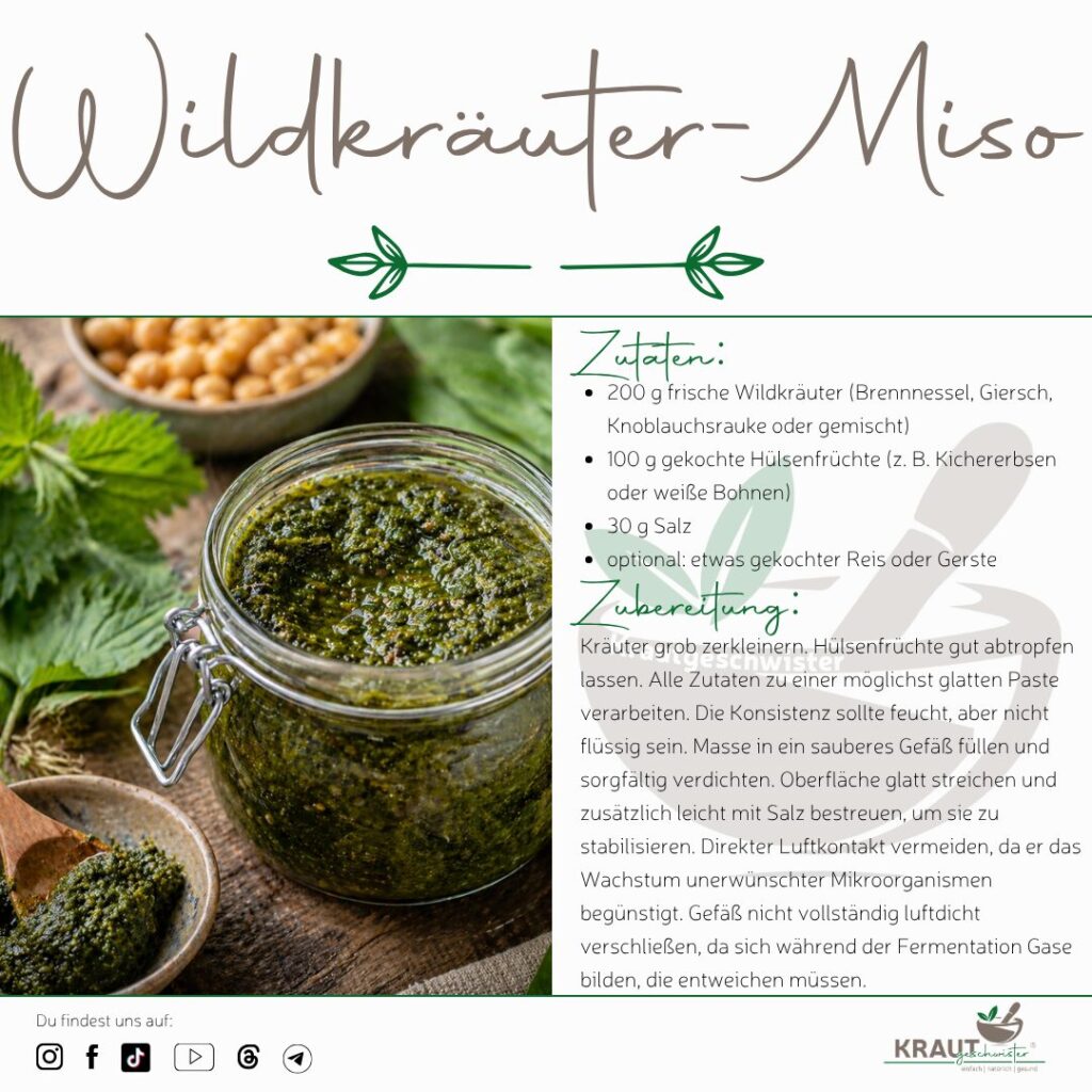 Wildkr&auml;uter-Miso