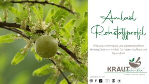 Amla&ouml;l &ndash; das traditionelle Haar&ouml;l aus Indien zwischen Ayurveda, Forschung und moderner Pflanzenkosmetik