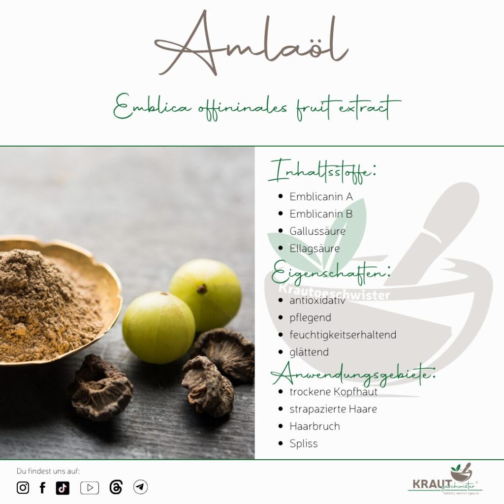 Amla&ouml;l &ndash; das traditionelle Haar&ouml;l aus Indien zwischen Ayurveda, Forschung und moderner Pflanzenkosmetik