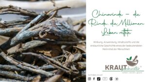 Chinarinde &ndash; die Rinde, die Millionen Leben rettete