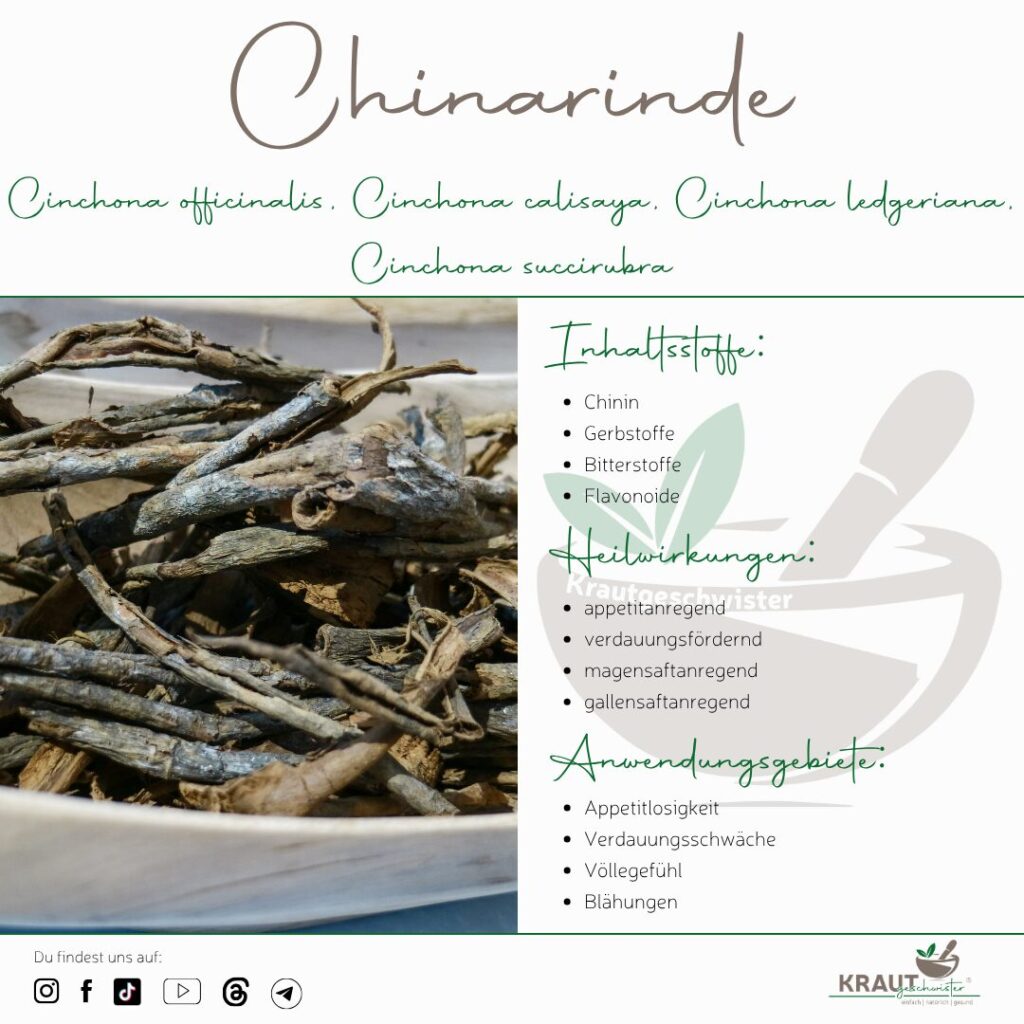 Chinarinde &ndash; die Rinde, die Millionen Leben rettete