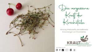 Die vergessene Kraft der Kirschstiele