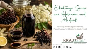 Erkältungs-Sirup aus Holunder und Mädesüß