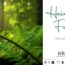 Heimische Farne – Heilkraut oder Risiko?