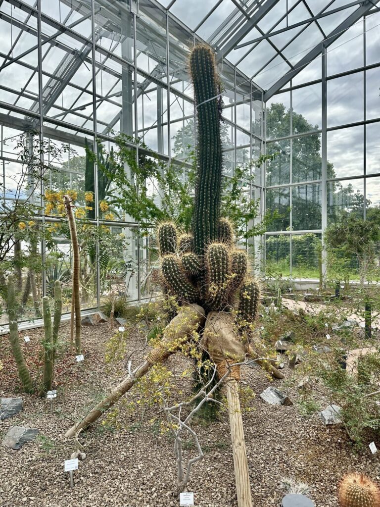 Pflanzenrausch im Botanischen Garten Mainz 🌿