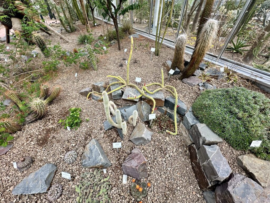 Pflanzenrausch im Botanischen Garten Mainz 🌿
