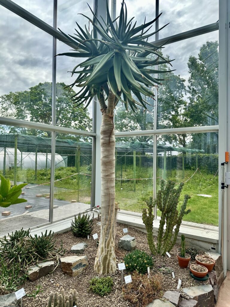 Pflanzenrausch im Botanischen Garten Mainz 🌿