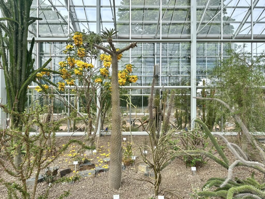 Pflanzenrausch im Botanischen Garten Mainz 🌿
