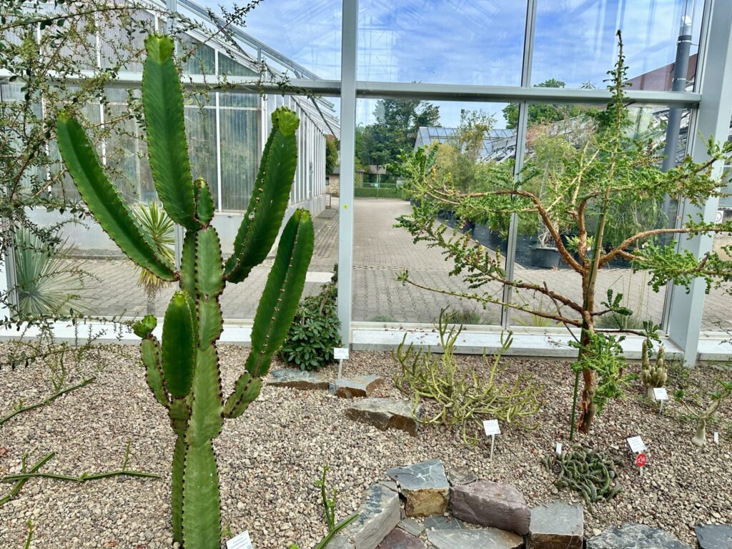 Pflanzenrausch im Botanischen Garten Mainz 🌿