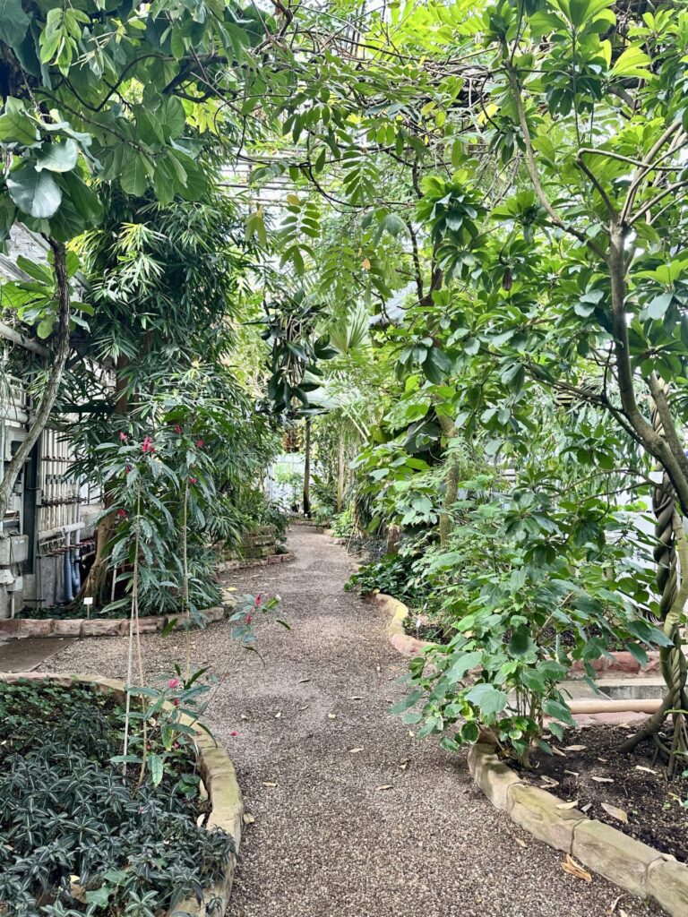 Pflanzenrausch im Botanischen Garten Mainz 🌿
