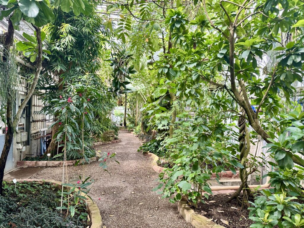 Pflanzenrausch im Botanischen Garten Mainz 🌿