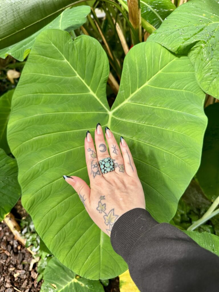 Pflanzenrausch im Botanischen Garten Mainz 🌿