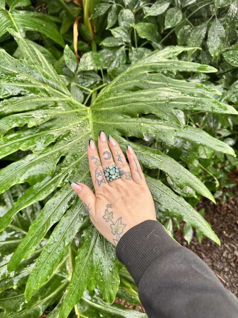 Pflanzenrausch im Botanischen Garten Mainz 🌿