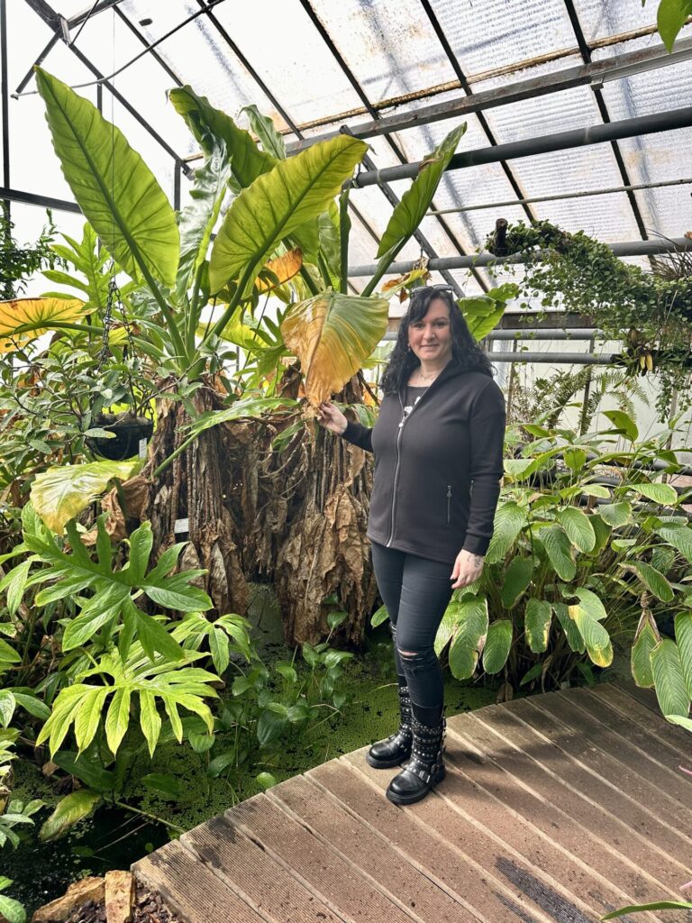 Pflanzenrausch im Botanischen Garten Mainz 🌿