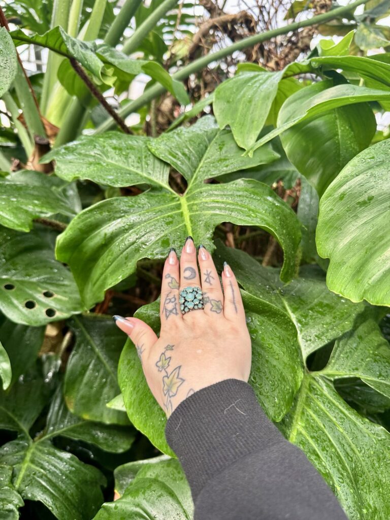 Pflanzenrausch im Botanischen Garten Mainz 🌿