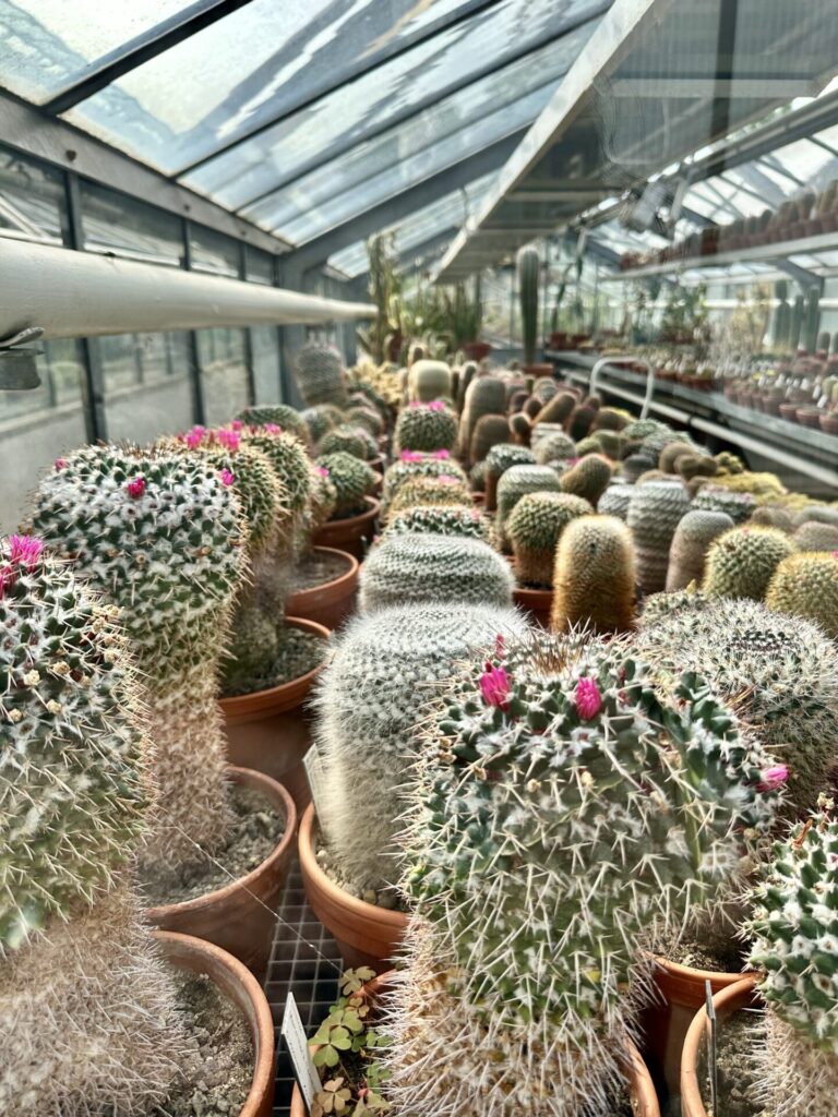 Pflanzenrausch im Botanischen Garten Mainz 🌿
