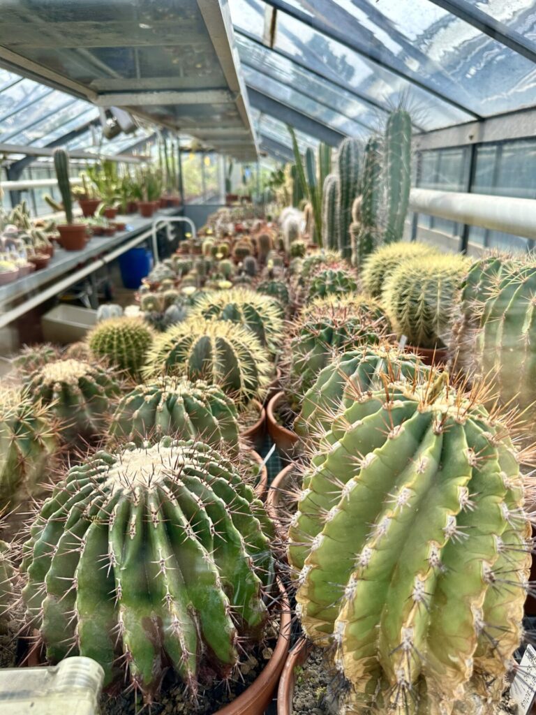 Pflanzenrausch im Botanischen Garten Mainz 🌿
