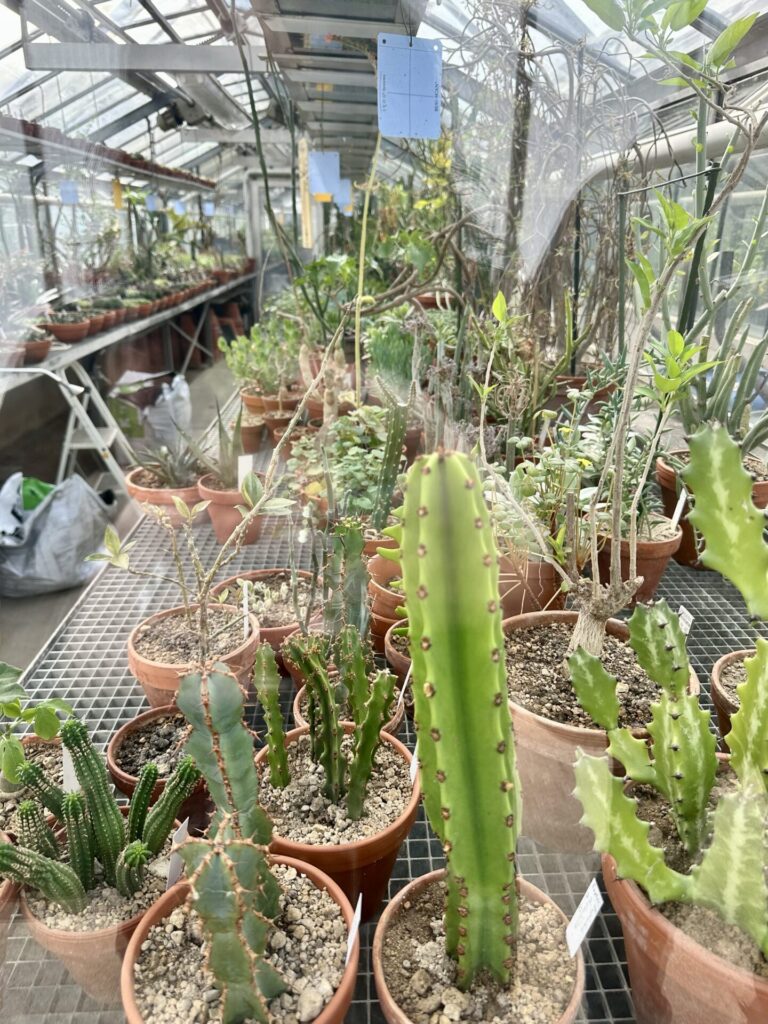 Pflanzenrausch im Botanischen Garten Mainz 🌿
