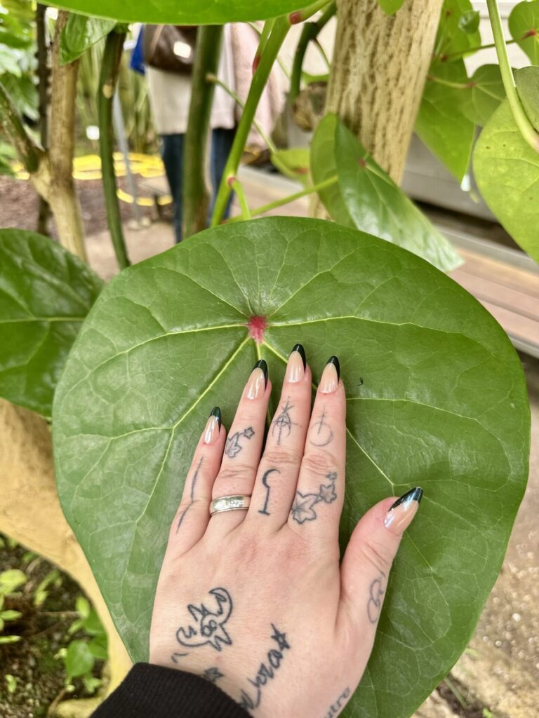 Pflanzenrausch im Botanischen Garten Mainz 🌿