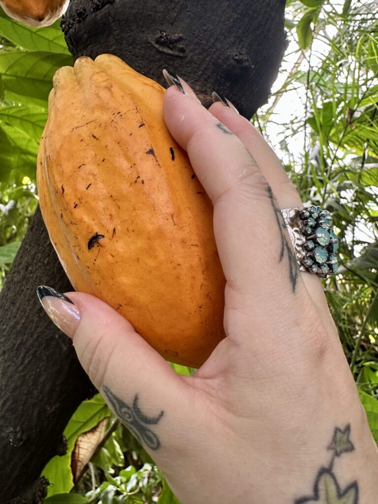 Pflanzenrausch im Botanischen Garten Mainz 🌿