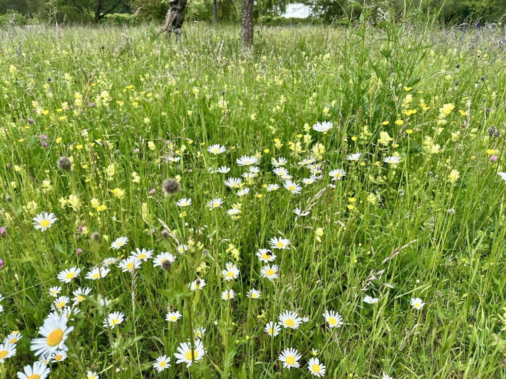 Pflanzenrausch im Botanischen Garten Mainz 🌿