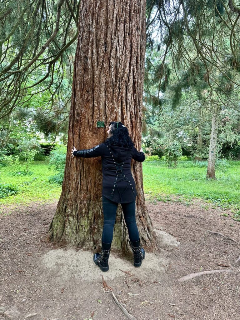 Pflanzenrausch im Botanischen Garten Mainz 🌿