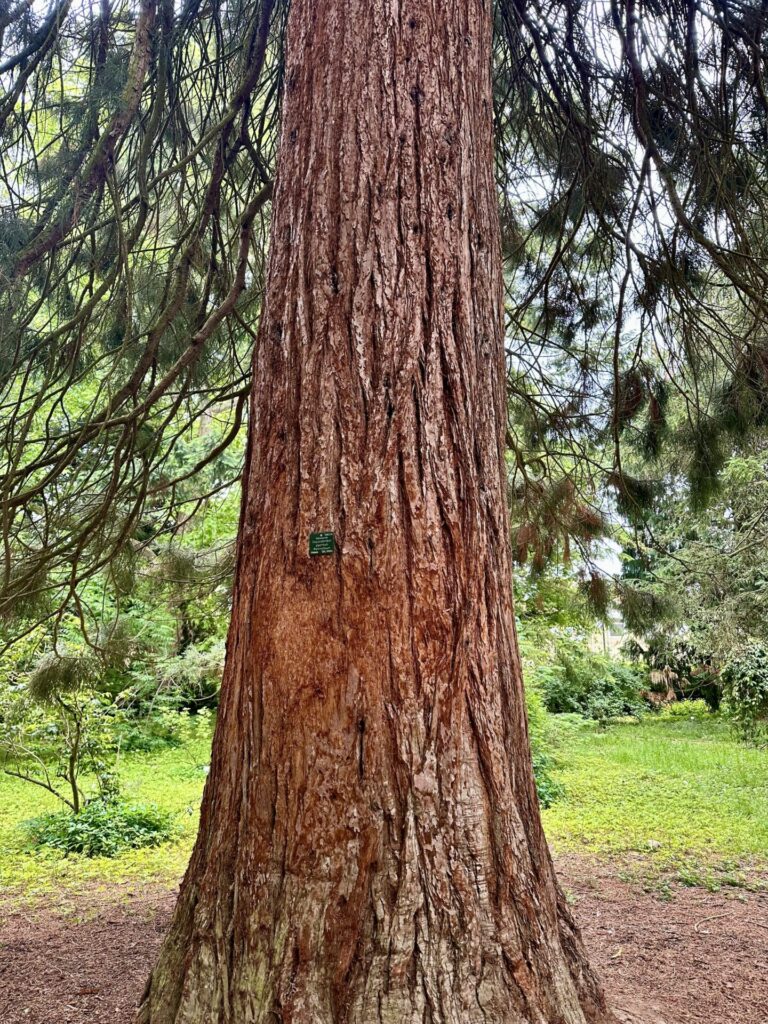 Pflanzenrausch im Botanischen Garten Mainz 🌿