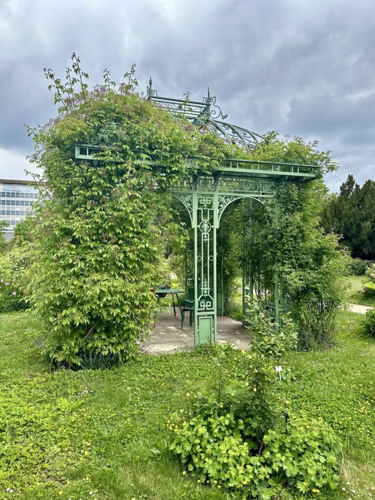 Pflanzenrausch im Botanischen Garten Mainz 🌿
