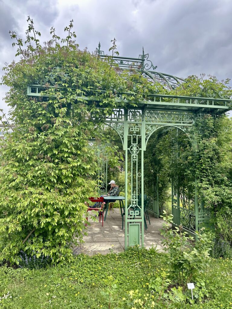 Pflanzenrausch im Botanischen Garten Mainz 🌿