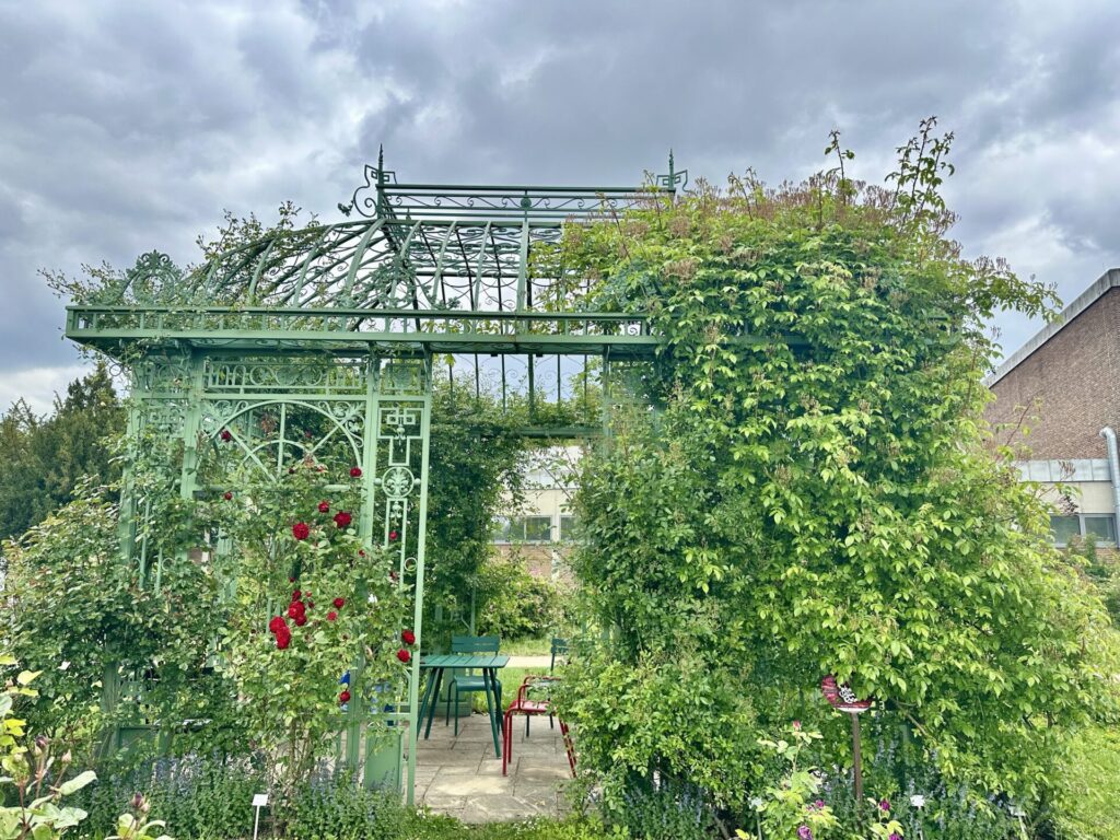 Pflanzenrausch im Botanischen Garten Mainz 🌿