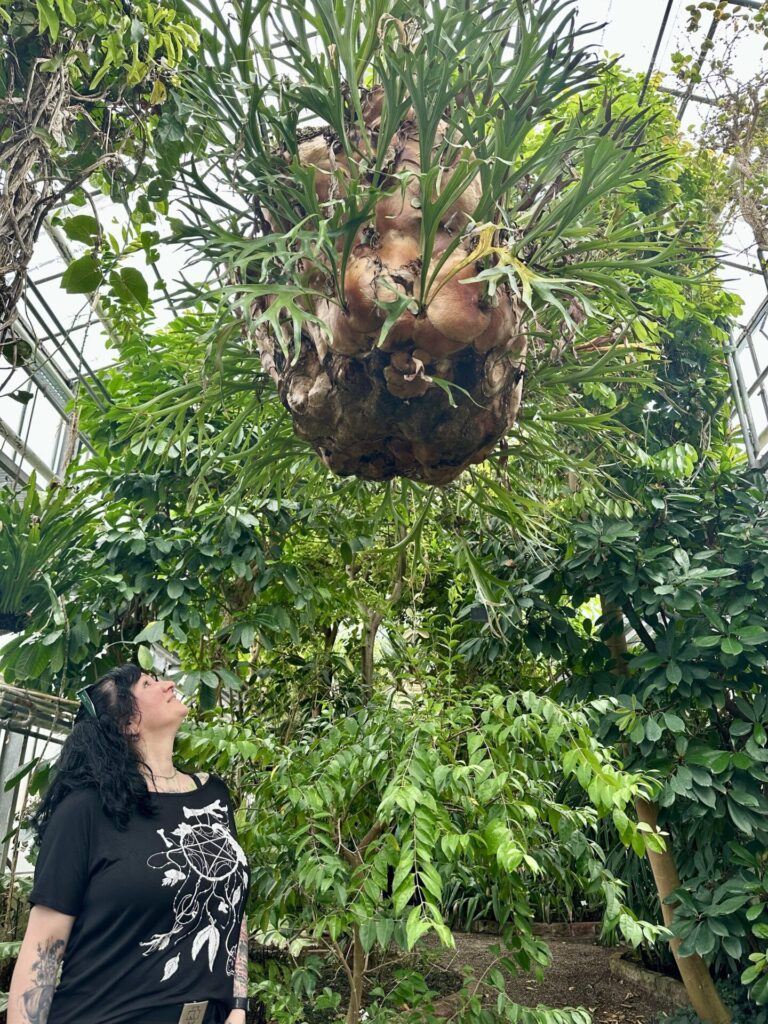 Pflanzenrausch im Botanischen Garten Mainz 🌿