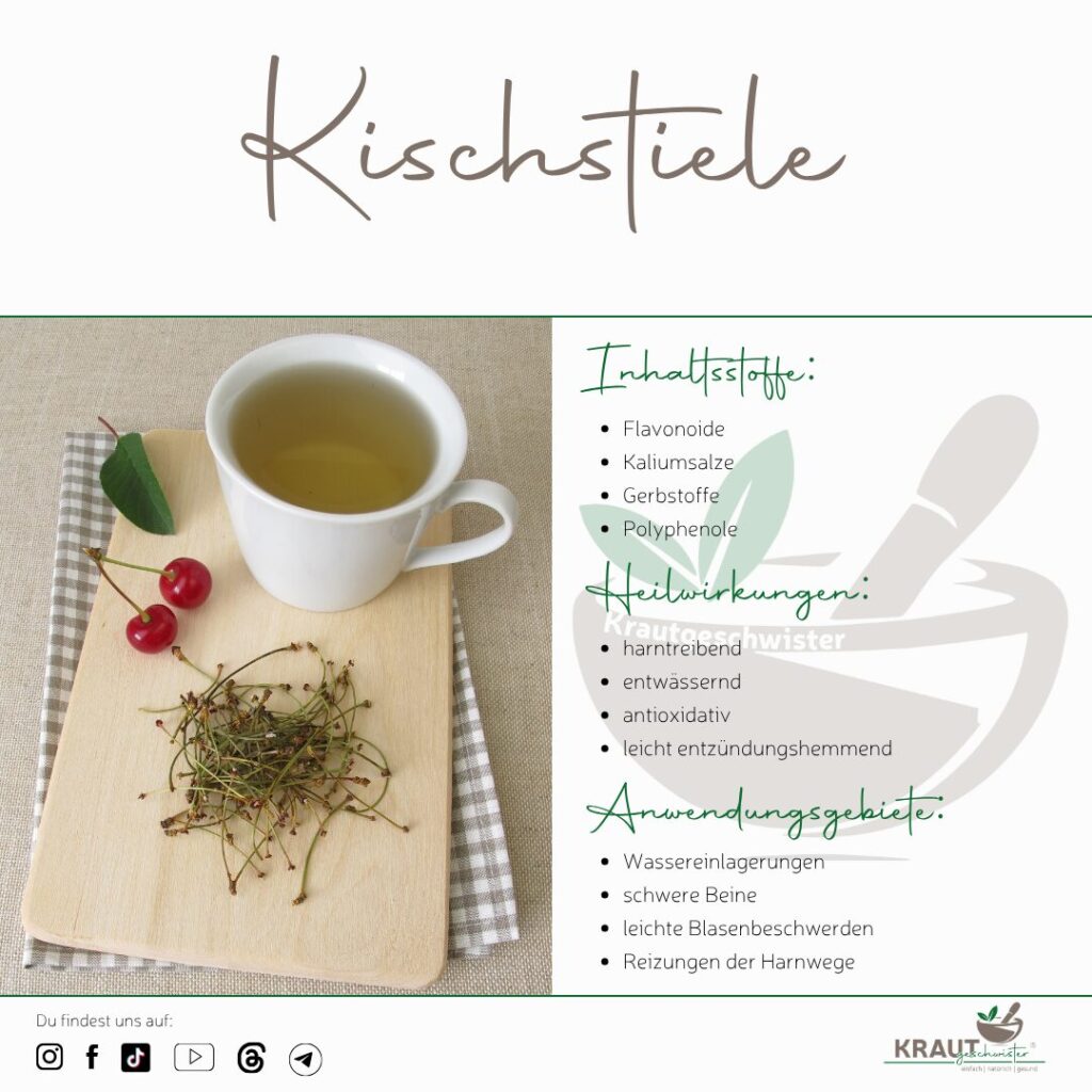 Die vergessene Kraft der Kirschstiele