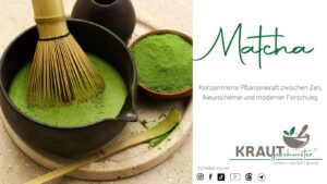 Matcha &ndash; konzentrierte Pflanzenkraft zwischen Zen, Neurochemie und moderner Forschung