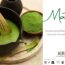 Matcha – konzentrierte Pflanzenkraft zwischen Zen, Neurochemie und moderner Forschung
