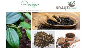 Pfeffer – das Gewürz, das die Welt veränderte