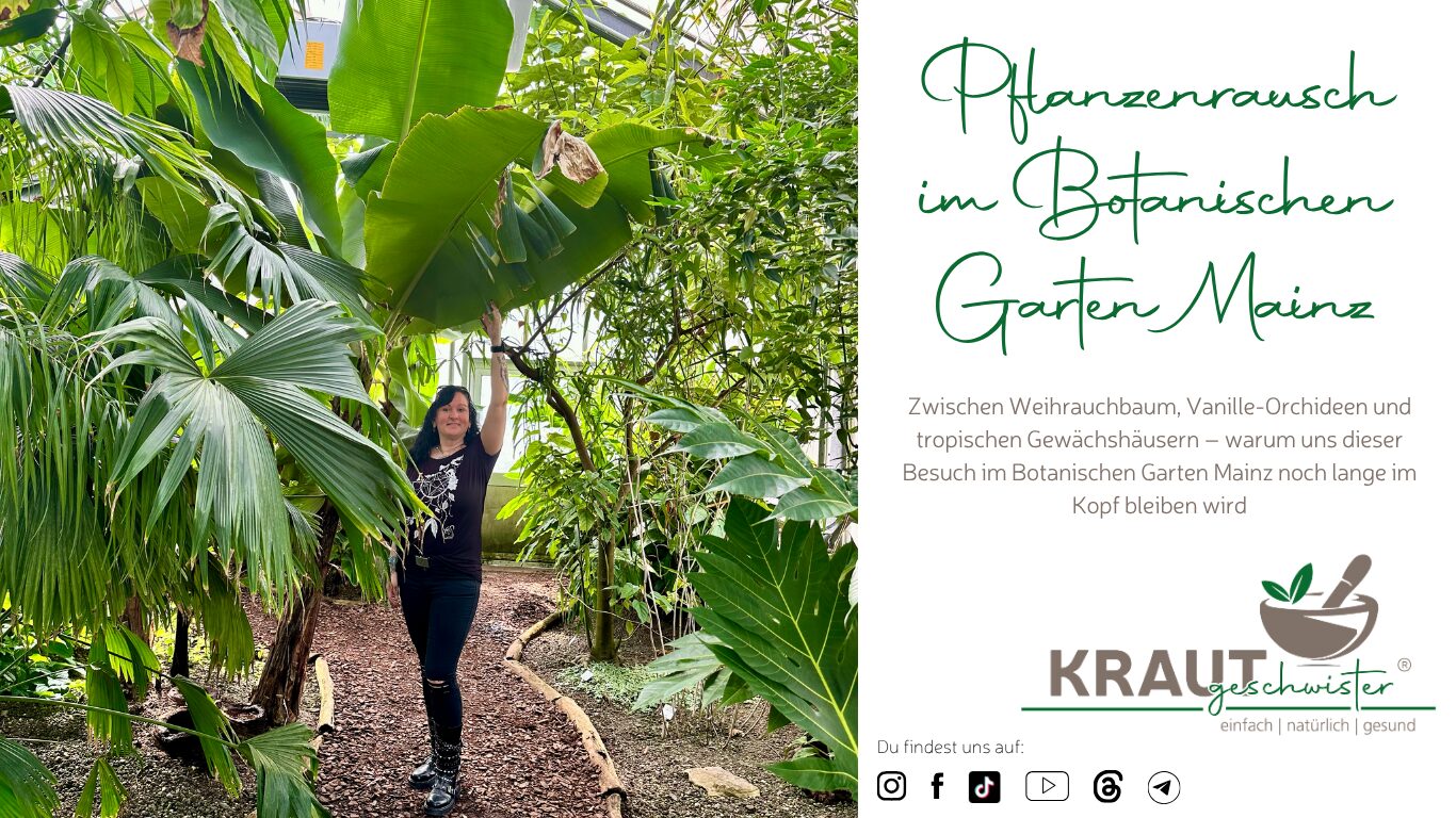 Pflanzenrausch im Botanischen Garten Mainz 🌿