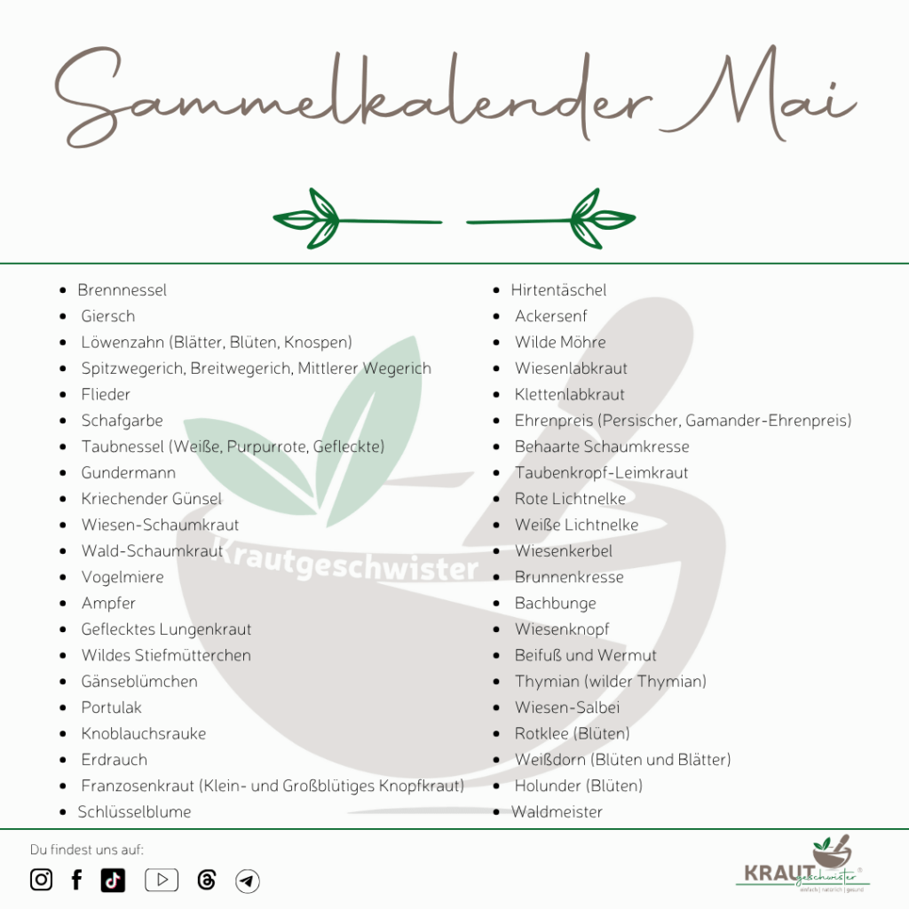 Sammelkalender Mai