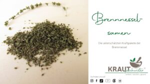 Brennnesselsamen: Die untersch&auml;tzten Kraftpakete der Brennnessel