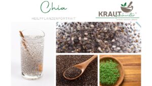Chia &ndash; kleine Samen mit erstaunlicher Quellkraft