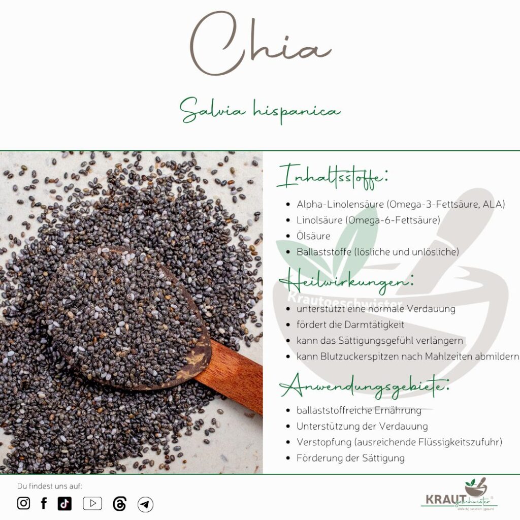 Chia &ndash; kleine Samen mit erstaunlicher Quellkraft
